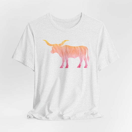 Longhorn Ombré Print T-Shirt In Summer Tones